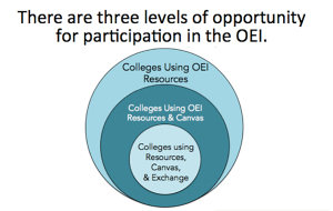 Three levels of opportunity to participate in the OEI